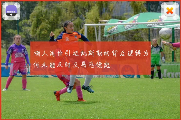 湖人高价引进凯斯勒的背后逻辑为何未能及时交易范德彪